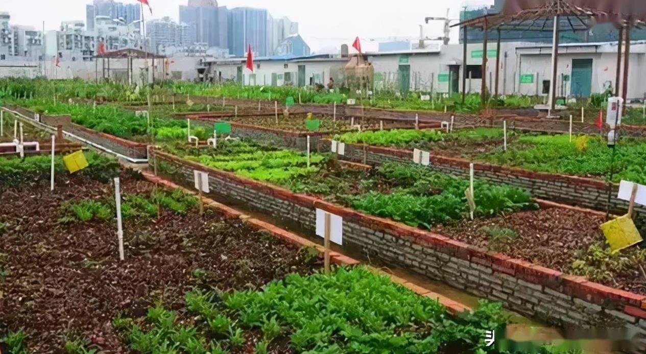 360截圖20230421100628179.jpg